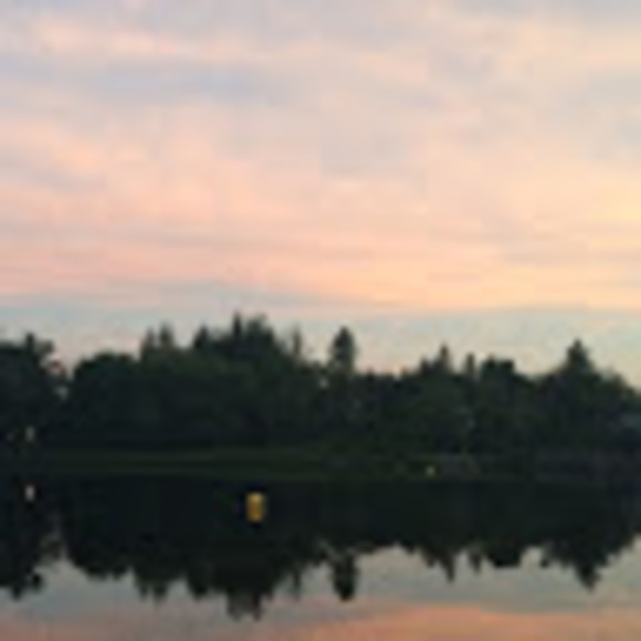 Meet your Posher, Ellie - Picture 1 of 1